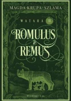 Okadka ksiki - Romulus i Remus