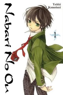 Okadka ksiki - Nabari No Ou tom 1