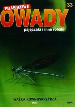 Okadka ksiki - Waka rwnoskrzyda 