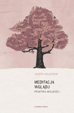 Okadka ksiki - Medytacja wgldu. Praktyka wolnoci