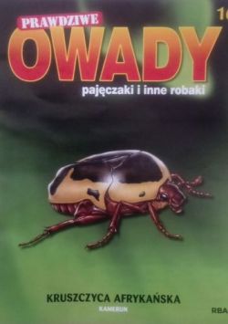 Okadka ksiki - Kruszczyca afrykaska