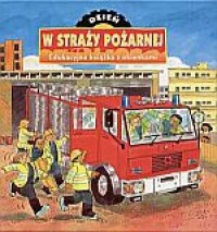 Okadka ksiki - Dzie w stray poarnej