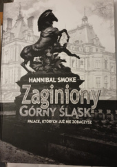 Okadka ksiki - Zaginiony Grny lsk. Paace, ktrych ju nie zobaczysz