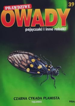 Okadka ksiki - Czarna cykada plamista