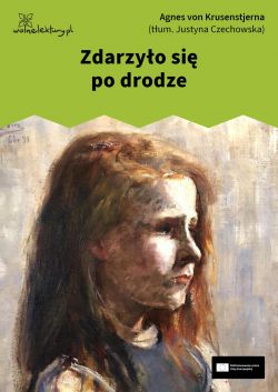 Okadka ksiki - Zdarzyo si po drodze