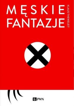 Okadka ksiki - Mskie fantazje