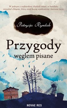 Okadka ksiki - Przygody wglem pisane