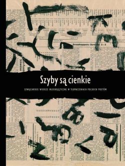 Okadka ksiki - Szyby s cienkie. Szwajcarskie wiersze woskojzyczne w tumaczeniach polskich poetw.