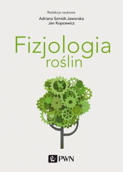 Okadka ksiki - Fizjologia rolin