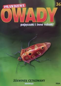 Okadka ksiki - winek ctkowany