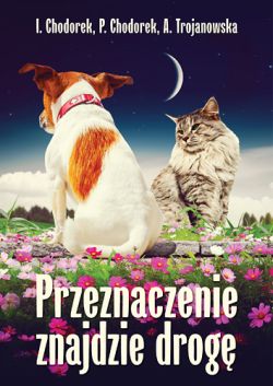 Okadka ksiki - Przeznaczenie znajdzie drog