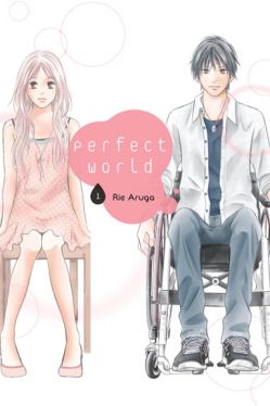 Okadka ksiki - Perfect World #1