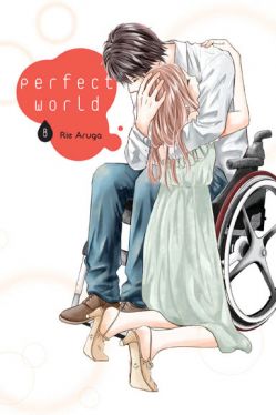 Okadka ksiki - Perfect World #8