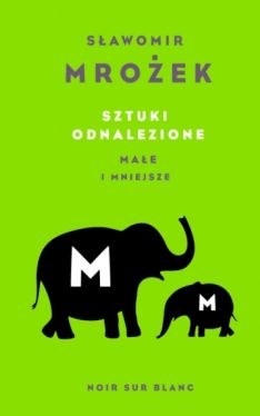 Okadka ksiki - Sztuki odnalezione. Mae i mniejsze 