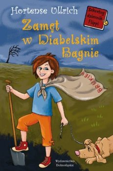 Okadka ksiki - Zamt w Diabelskim Bagnie