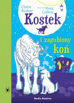 Okadka ksiki - Kostek i zagubiony ko