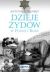 Okadka ksiki - Dzieje ydw w Polsce i Rosji 