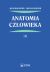 Okadka ksiki - Anatomia czowieka. Tom 3