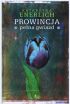 Okadka ksiki - Prowincja pena gwiazd