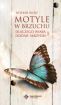 Okadka ksiki - Motyle w brzuchu. Dlaczego wiara dodaje skrzyde