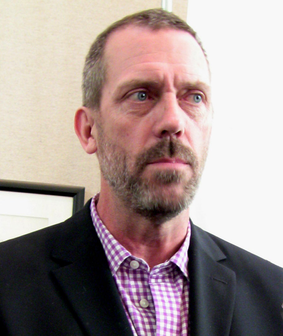 Autor - Hugh Laurie