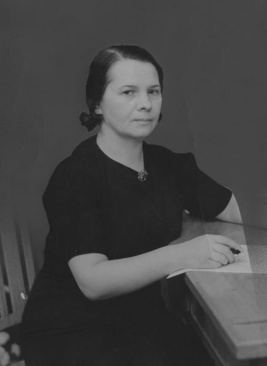 Zdjcie - Pola Gojawiczyska