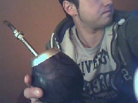 Yerba mate