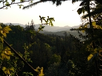 Beskid ywiecki - pocztek maja