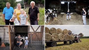 News Rolnicy. Podlasie odc. 35: rozadunek przyczepy i kozy, ktre nie chc wsppracowa. Streszczenie odcinka