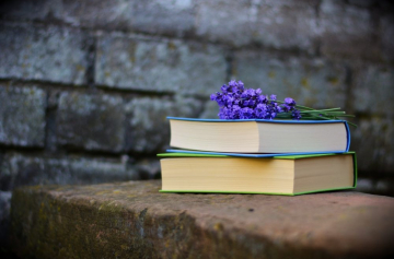 News Biblioteka rozdaje ksikowe prezenty na wita