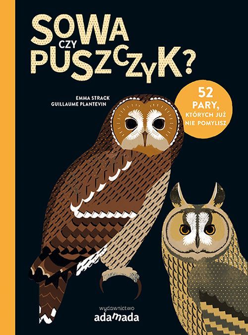 News Sowa czy puszczyk? Przekonajcie si sami!