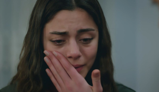 Bohaterowie serialu Dziedzictwo, emitowanego na antenie TVP 1