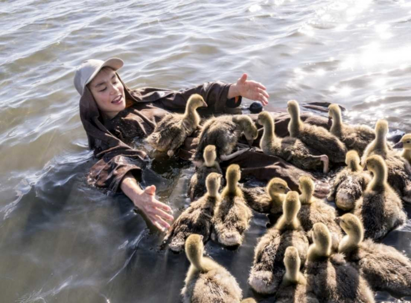 Obrazek w treści Chłopiec z chmur - wakacje zmieniające życie nastolatka [jpg]