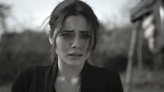 Bohaterowie serialu Dziedzictwo, emitowanego na antenie TVP 1