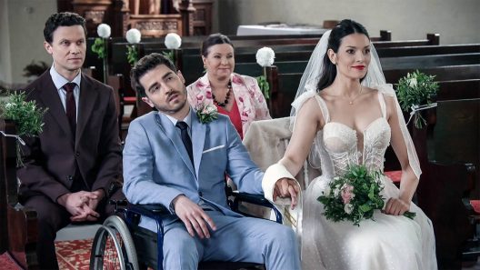 Bohaterowie serialu Pierwsza miłość, emitowanego na antenie Polsatu.