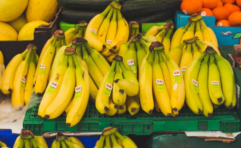 Obrazek w treści Powstały książki na papierze z… bananów [jpg]