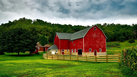 Lalka książka Bolesława Prusa